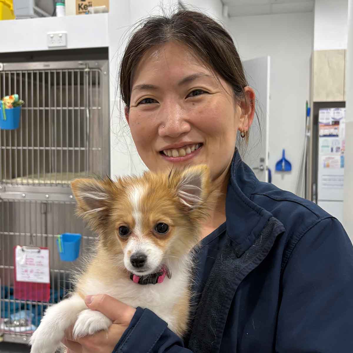 Foxwell Vet Coomera - Meet the Team - Dr Maggie Xie