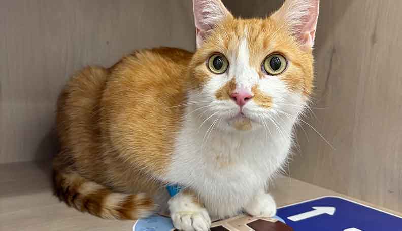 stress free waiting room